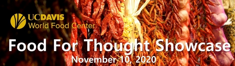 Food for thought showcase banner, image of dried peppers