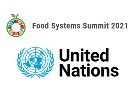 Food systems summit and United Nations logos