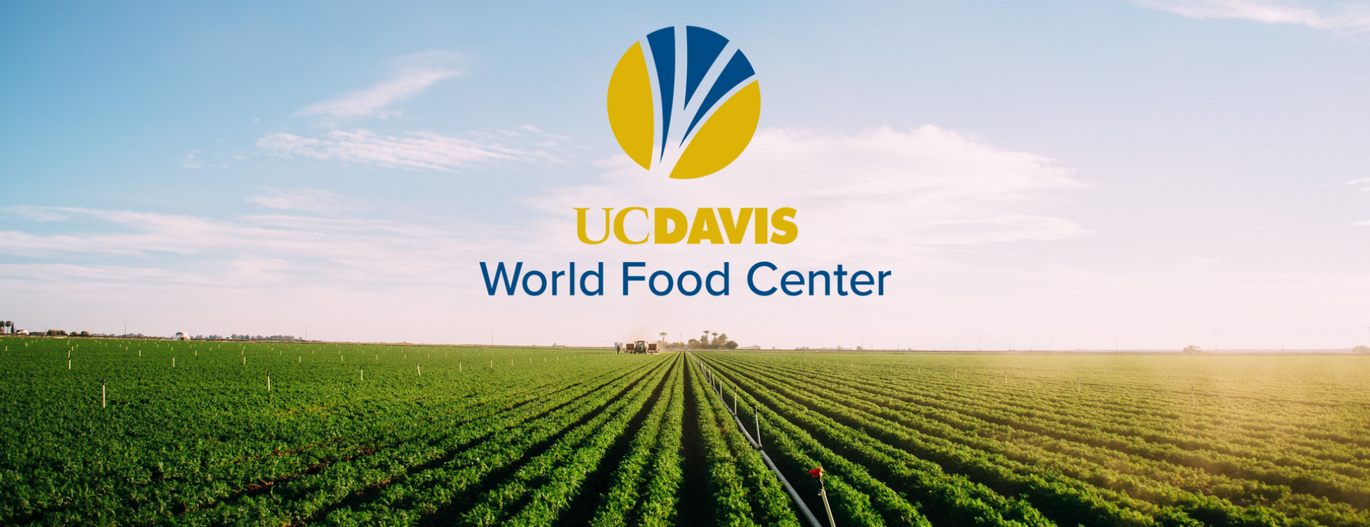World Food Center logo